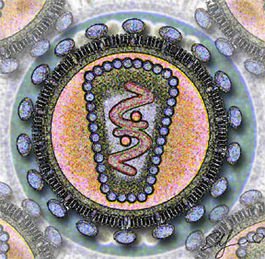 Описание: Human Immunodeficency Virus - stylized rendering.jpg